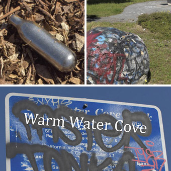'Warm Water Cove' Book<br>(2015)