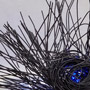 Nest with Blue Light (detail)