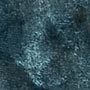 Finger Print (detail)