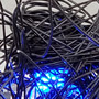 Nest with Blue Light (detail)