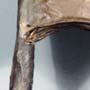 (detail)