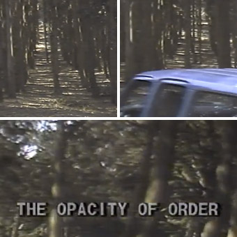 The Opacity of Order<br>(1980)